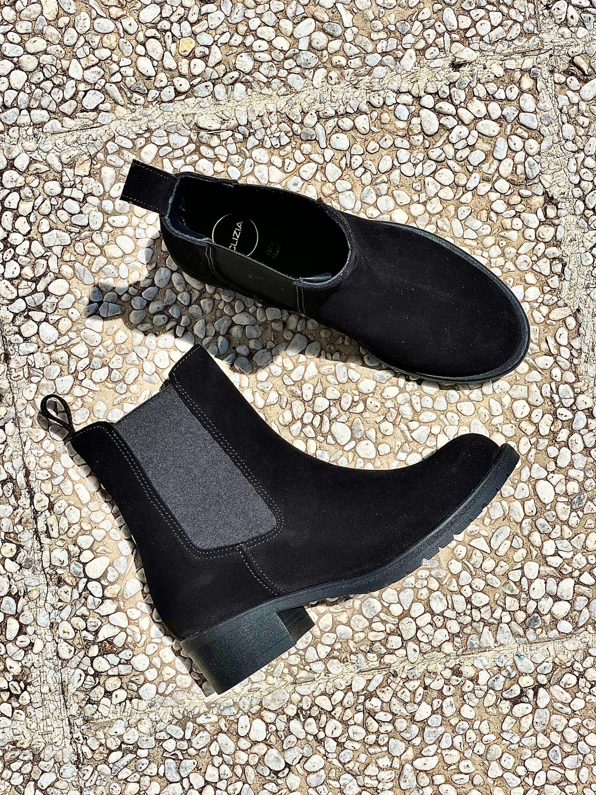 TED SCAMOSCIATO NERO