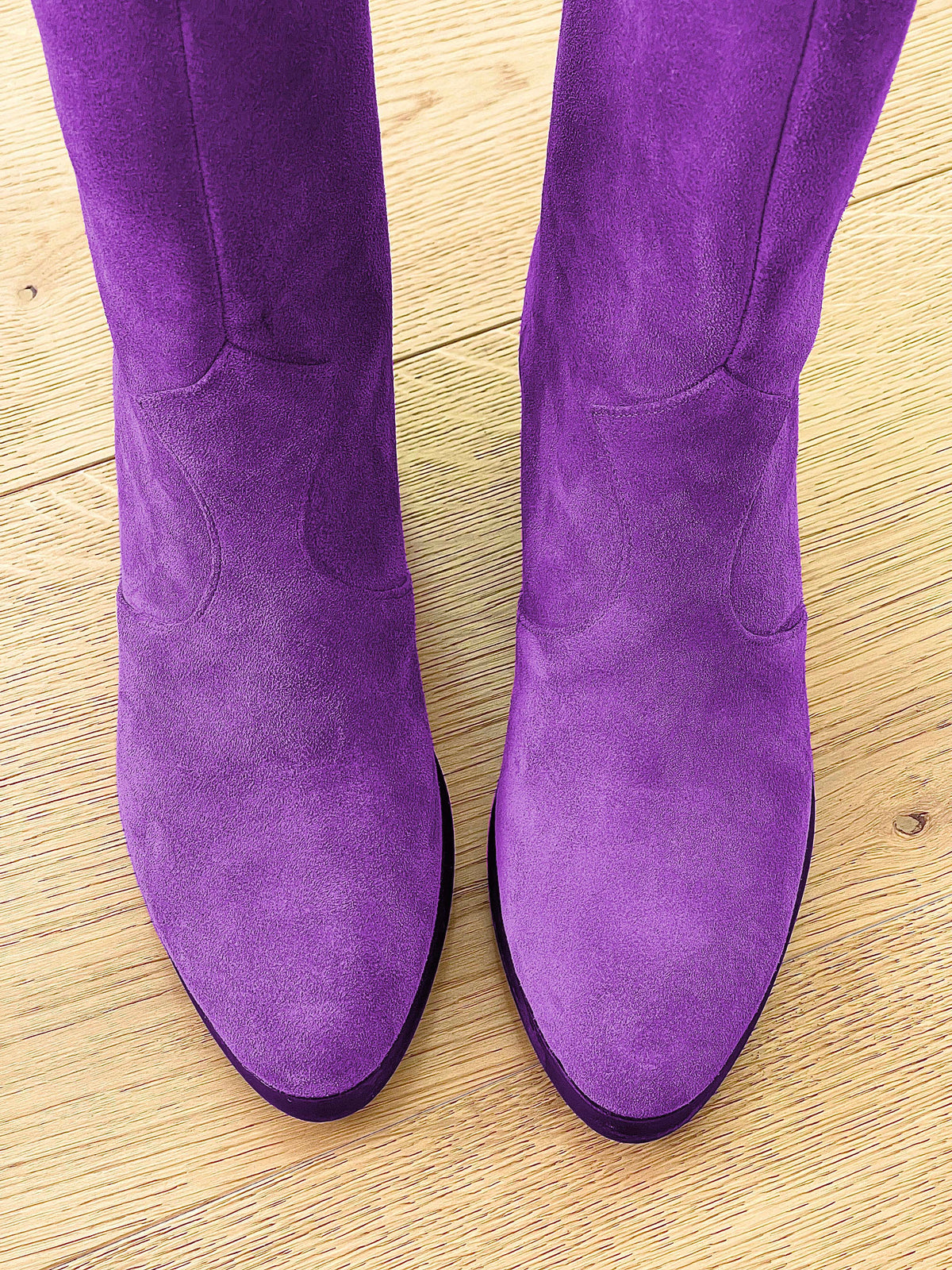 ARIEL SCAMOSCIATO VIOLA
