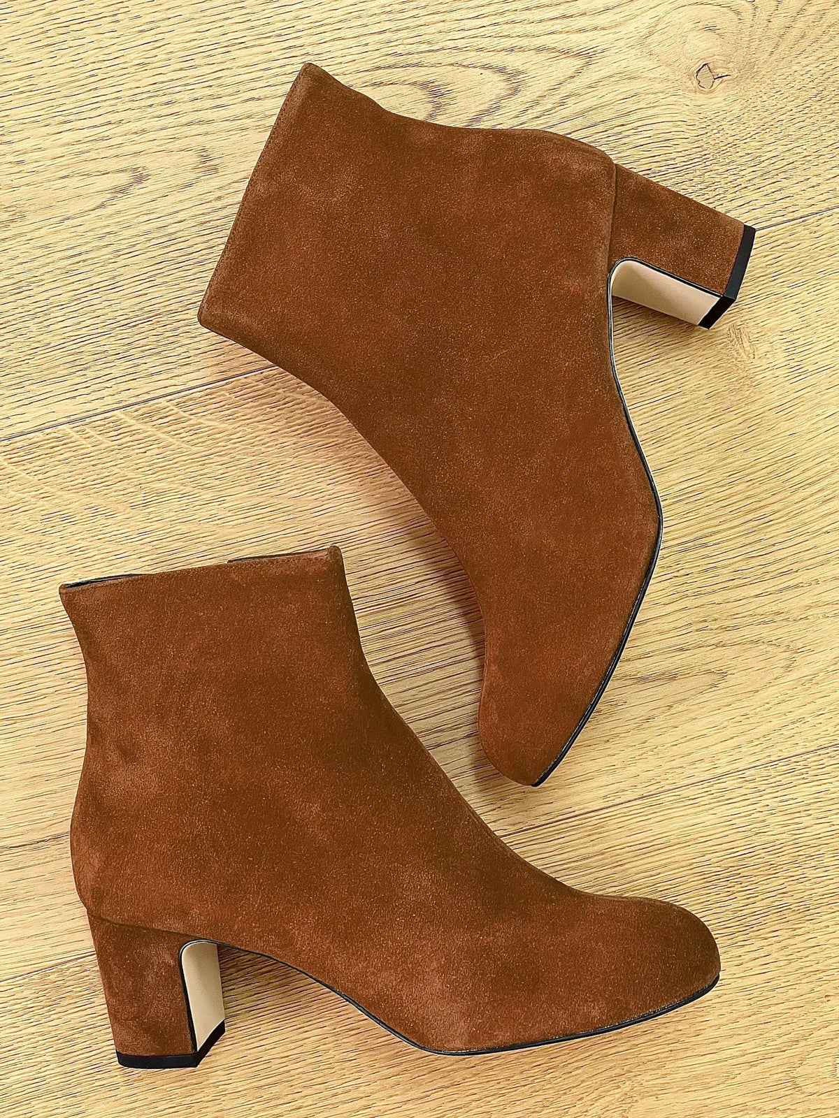 LUCAS CAMOSCIO COGNAC